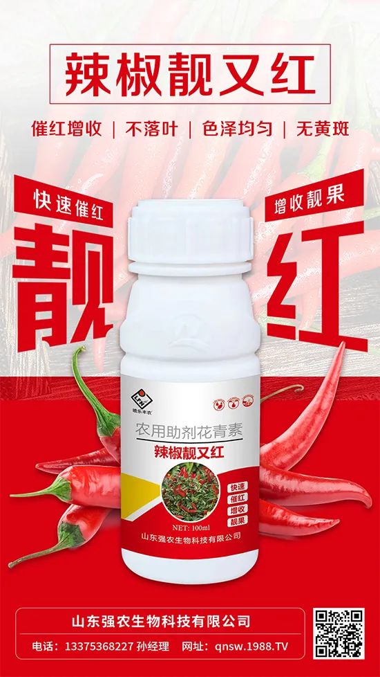 辣椒催紅增收專利產(chǎn)品！自然增紅零激素，色澤勻無黃斑