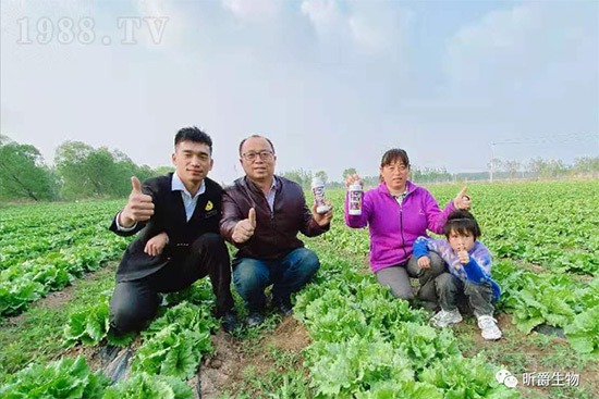 玉米追肥復(fù)合肥好還是尿素好？很多人都錯(cuò)了！它才是正確選擇