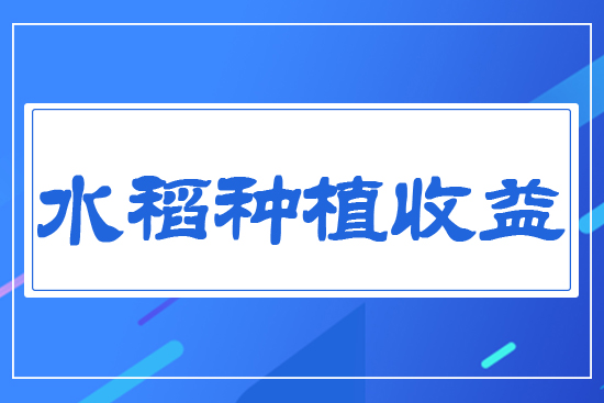 水稻種植收益