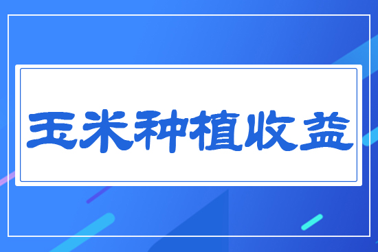 玉米種植收益