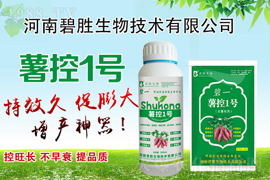 紅薯如何控旺？紅薯控旺有哪些措施？控旺產(chǎn)品怎么選？