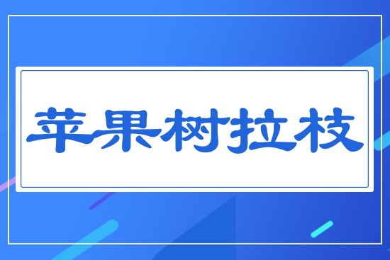 蘋果樹拉枝