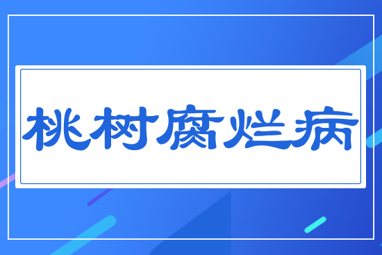 桃樹腐爛病