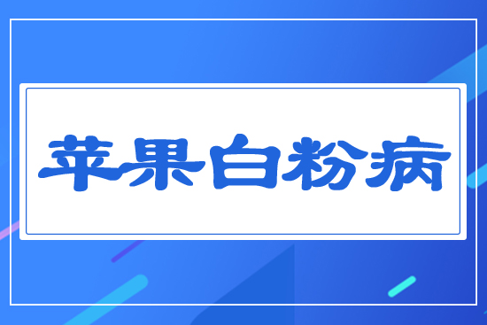 蘋果白粉病