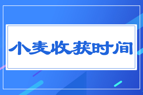 小麥收獲時間