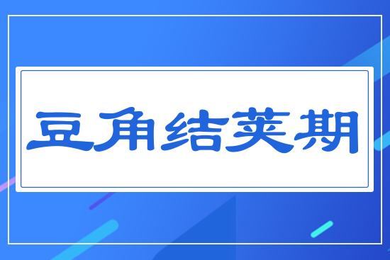 豆角結(jié)莢期