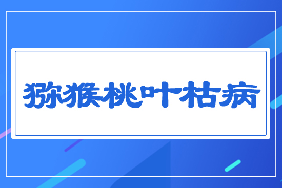 獼猴桃葉枯病