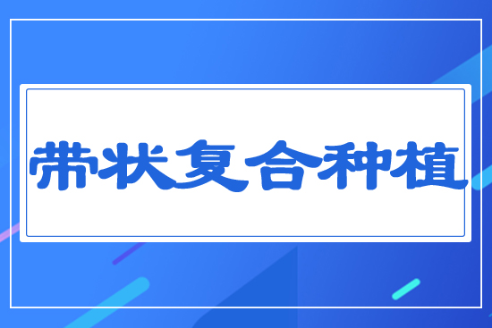 帶狀復(fù)合種植