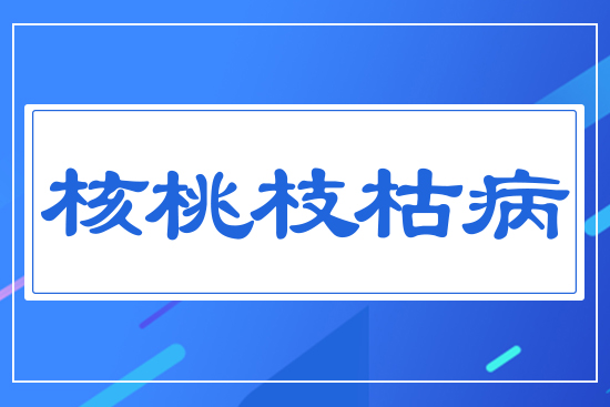 核桃枝枯病