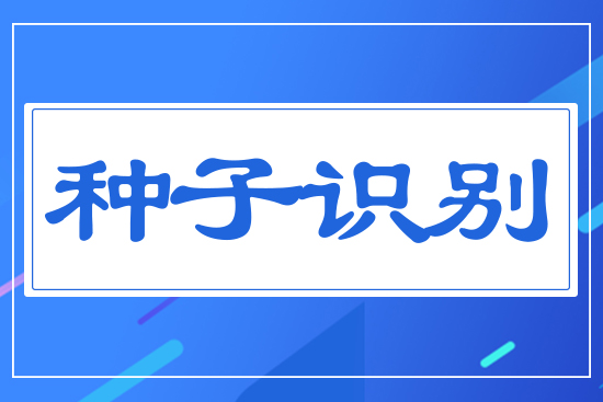 種子識(shí)別