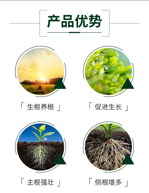 山東力滬生物科技有限公司_03