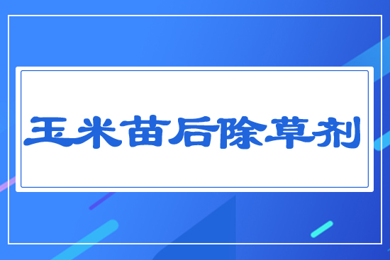 玉米苗后除草劑