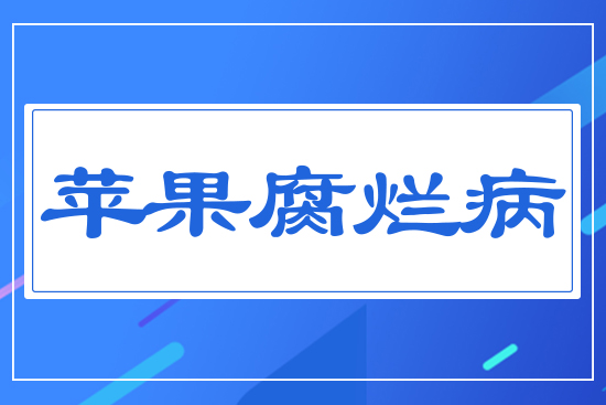 蘋(píng)果腐爛病