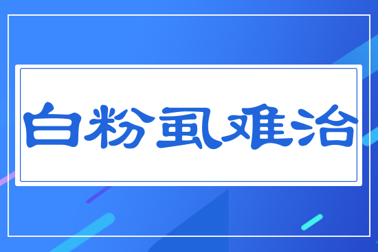 白粉虱難防治