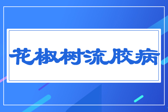 花椒樹流膠病