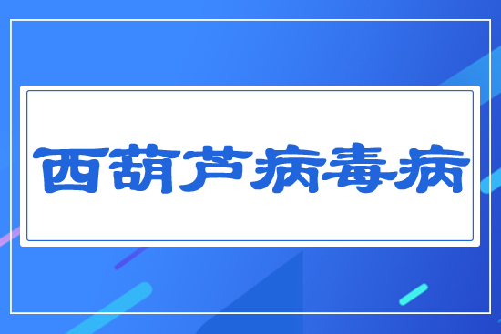 西葫蘆病毒病