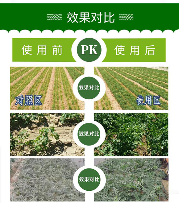 微生物肥料-菌麗家園-留洋哥生物6