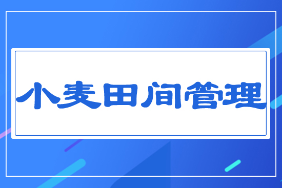 小麥春季田間管理