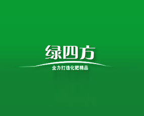 山東壽光綠四方化工有限公司