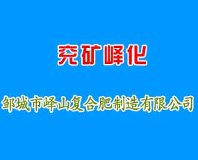 鄒城市嶧山復合肥制造有限公司