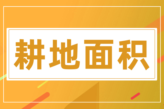 全國耕地面積達19.29億畝，增加1120.4萬畝