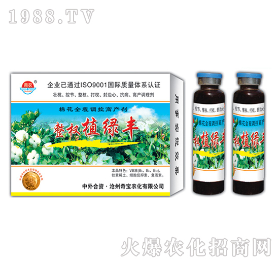 24g整杈植綠豐-奇寶農(nóng)化