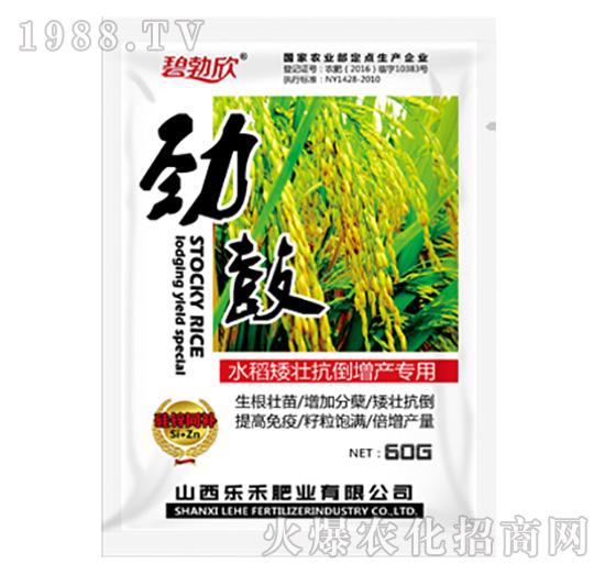 勁鼓水稻矮壯抗倒增產(chǎn)-樂(lè)禾