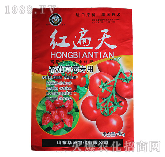 番茄草莓專用高活性沖施肥-紅遍天-華沃農(nóng)化