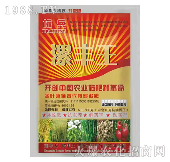 含腐植酸水溶肥料-標(biāo)兵-漯豐王