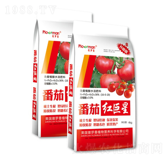 含腐植酸水溶肥料-番茄紅-陽(yáng)光肥業(yè)