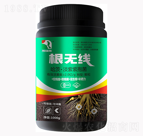 哈茨·淡紫紫孢菌-根無線-凱瑞斯