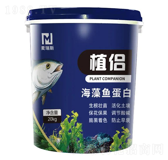 植侶海藻魚蛋白-麥瑞斯