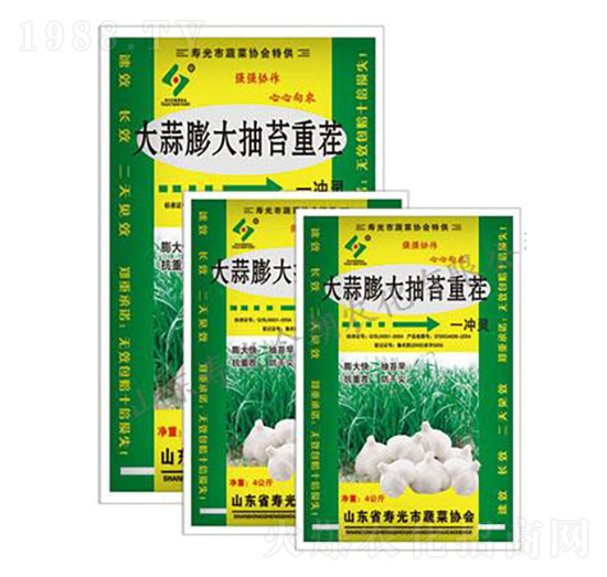 大蒜膨大抽茬重茬-今朝農(nóng)化