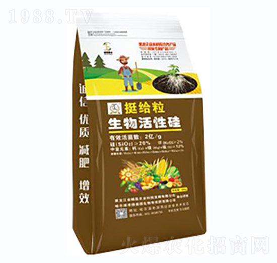 生物菌肥通用型-挺給粒生物活性硅-碩磊農(nóng)業(yè)