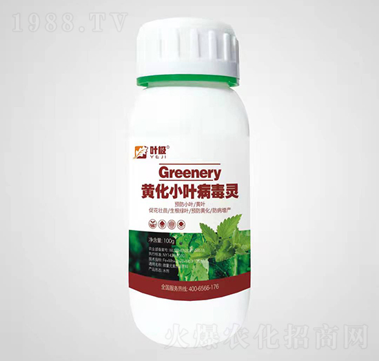 黃化小葉病毒靈-葉極-益畝康生物