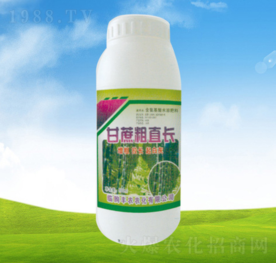 甘蔗粗直長-植翠-豐農(nóng)農(nóng)化