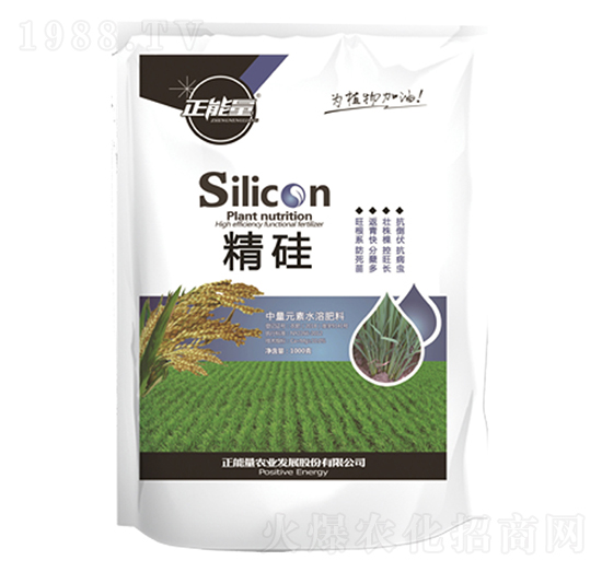 水稻壯桿專用Silicon精硅中量元素水溶肥料-正能量