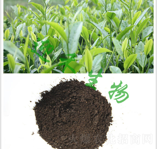 茶樹專用肥-迎禾生物