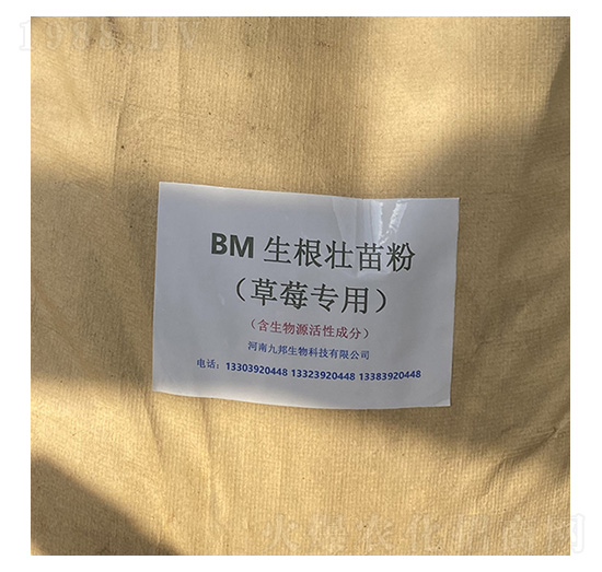 BM生根壯苗菌（草莓專用）-九邦生物