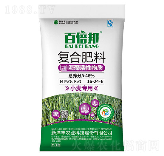 小麥專用復(fù)合肥料16-24-6-百倍邦-新洋豐