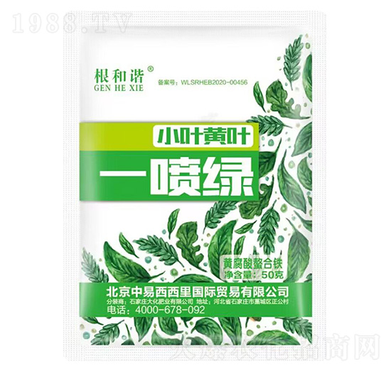 小葉黃葉一噴綠-根和諧-大化肥業(yè)