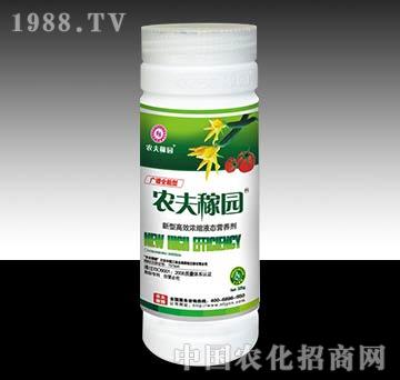 VV325g-r(nng)ڈ@