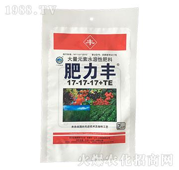 2kg大量元素水溶肥料17-17-17+TE-肥力豐-一心化工