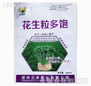 高硼高鉬型花生粒多飽-花多收-三禾肥業(yè)