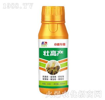 小麥專用壯高產(chǎn)-天葉生物