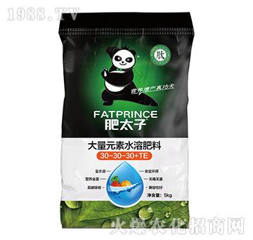 大量元素水溶肥料30-30-30+TE-肥太子