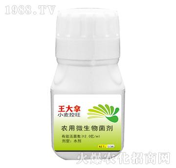 農(nóng)用微生物菌劑-王大拿-漯豐王