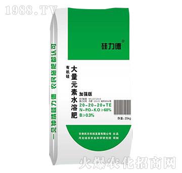 大量元素水溶肥20-20-20+TE-硅力德-硅谷肥業(yè)