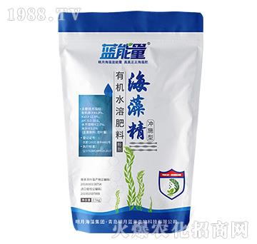 有機(jī)水溶肥料-海藻精-藍(lán)能量