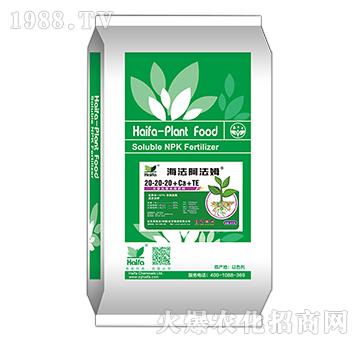 含硝態(tài)氮大量元素水溶肥料20-20-20+Ca+TE-海法阿法姆-海法